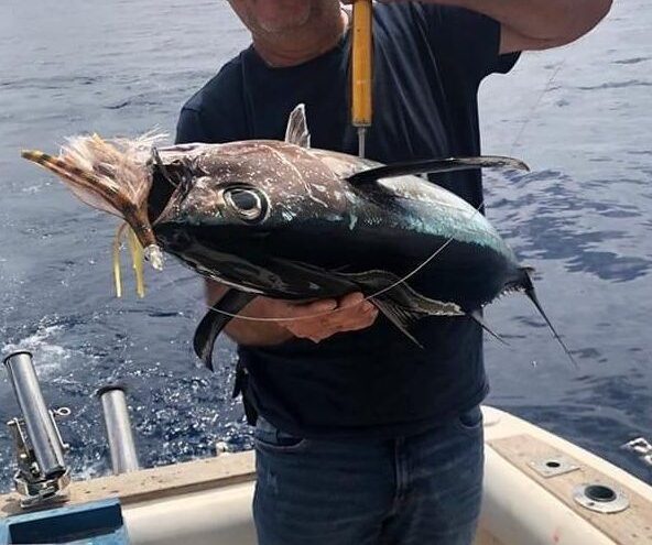 captura-big-eye-señuelo-para-pesca-bonito-del-norte-modelo-white-tuna-vinyl-sergio-burillo