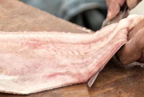 como filetear el pescado