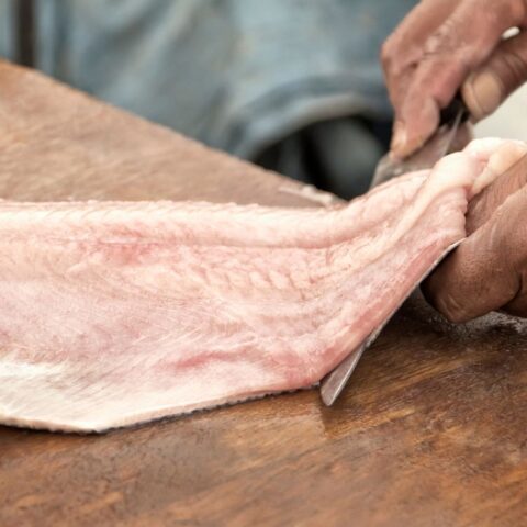 como filetear el pescado