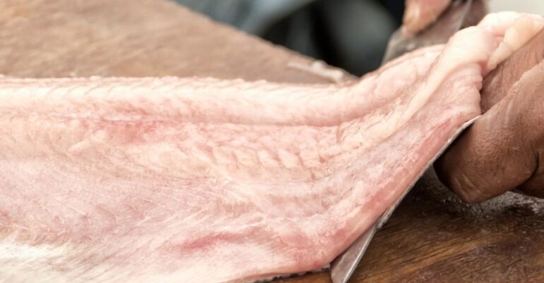 como filetear el pescado
