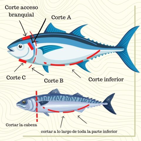 como limpiar por dentro un pescado