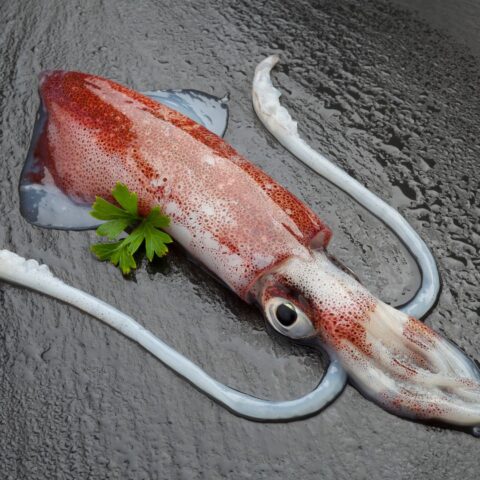 como limpiar calamares y sepias