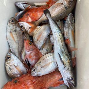 señuelo-para-pesca-fondo-y-gran-fondo-modelo-panxona-señuelo-fosoforescente-sergio-burillo