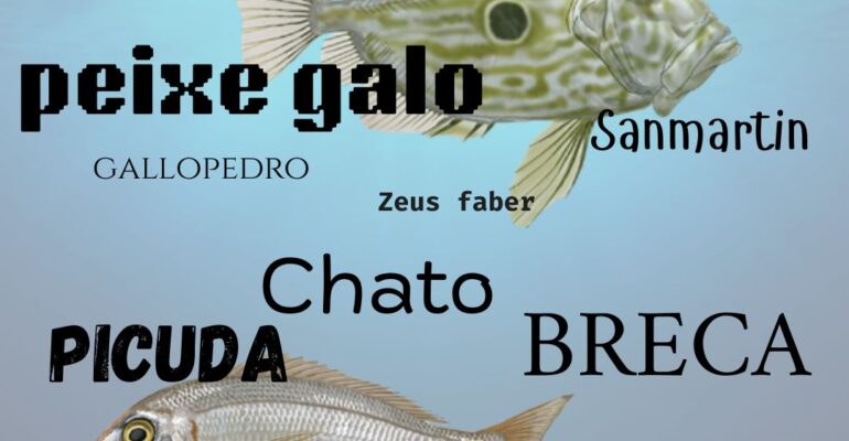 como se llaman los peces