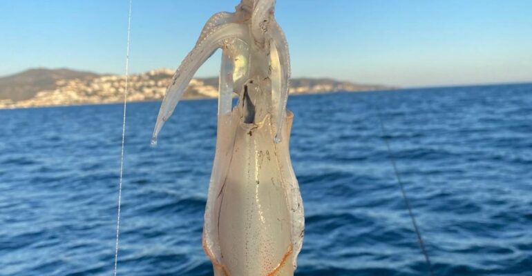 señuelos para pescar calamares