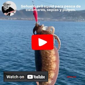 señuelos garrapatitas, evil squid, para pescar calamares, sepias y pulpos, como pescar calamares, pesca de calamares y sepias