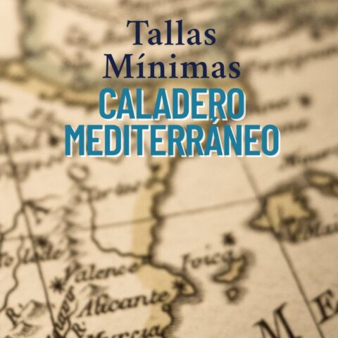 tallas minimas de pesca en el caladero mediterraneo