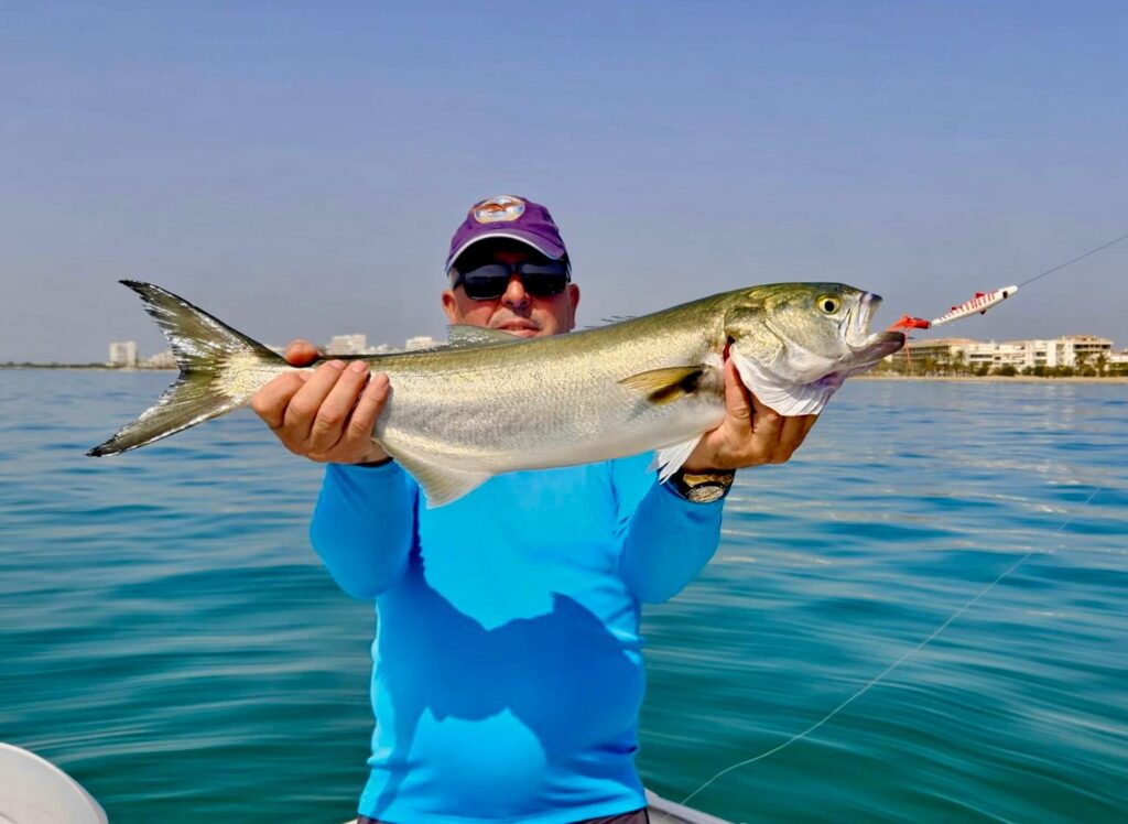 señuelo pesca para pesca de superficie