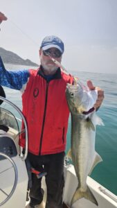 señuelo de pesca para currican superficie. Pesca de una gran anjova