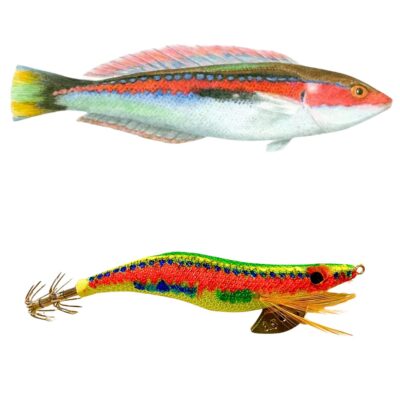 Señuelo de pesca Crystal Egi queen doncella pesca calamar
