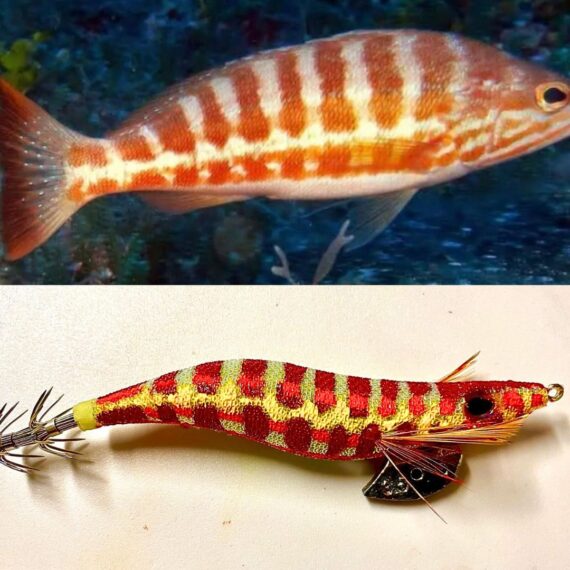 Señuelo de pesca crystal egi queen serrano pesca calamar